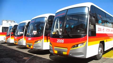victory liner website.